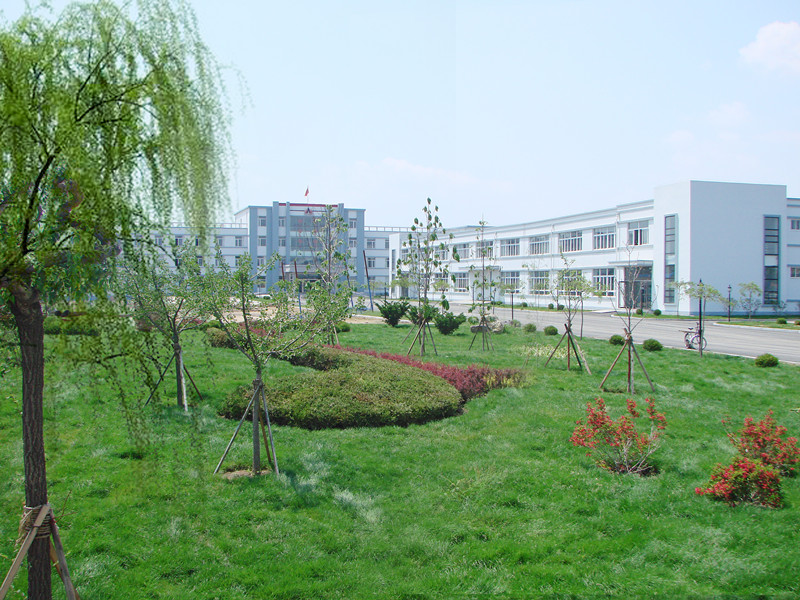歡樂奧龍人，激昂青春夢(mèng)